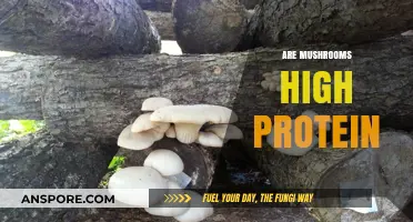 Mushrooms: A High-Protein Superfood?