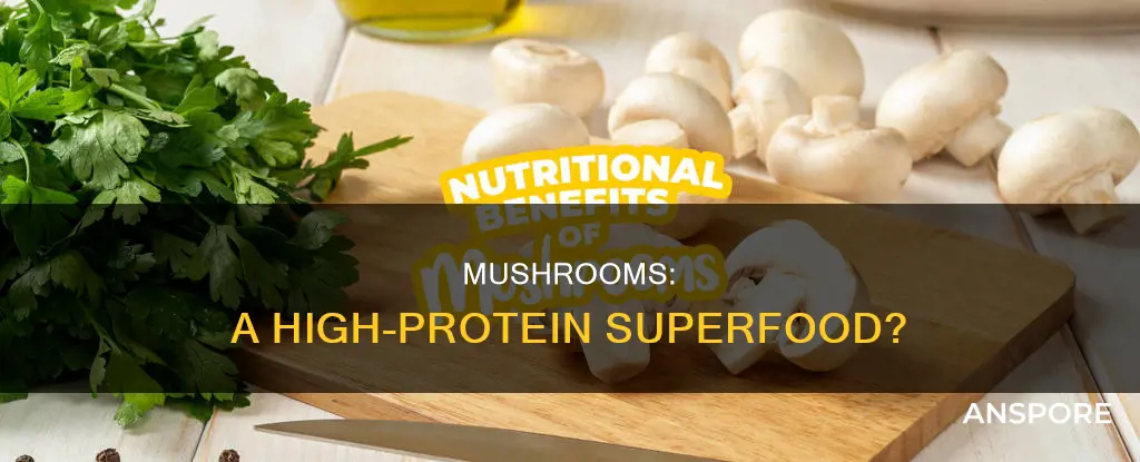 are mushrooms high protein