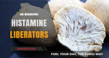Mushrooms: Histamine Liberator or Not?