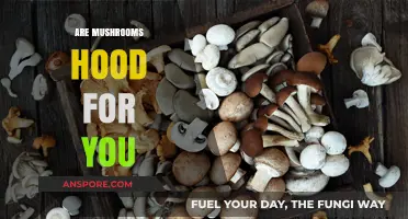 Mushrooms: Healthy Superfood or Health Risk?