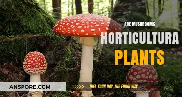 Mushrooms: Horticultural Plants or Not?