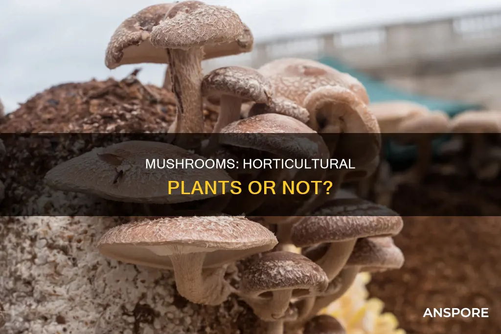 are mushrooms horticultural plants