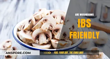 Mushrooms: IBS-Friendly Superfood or Gut Irritant?