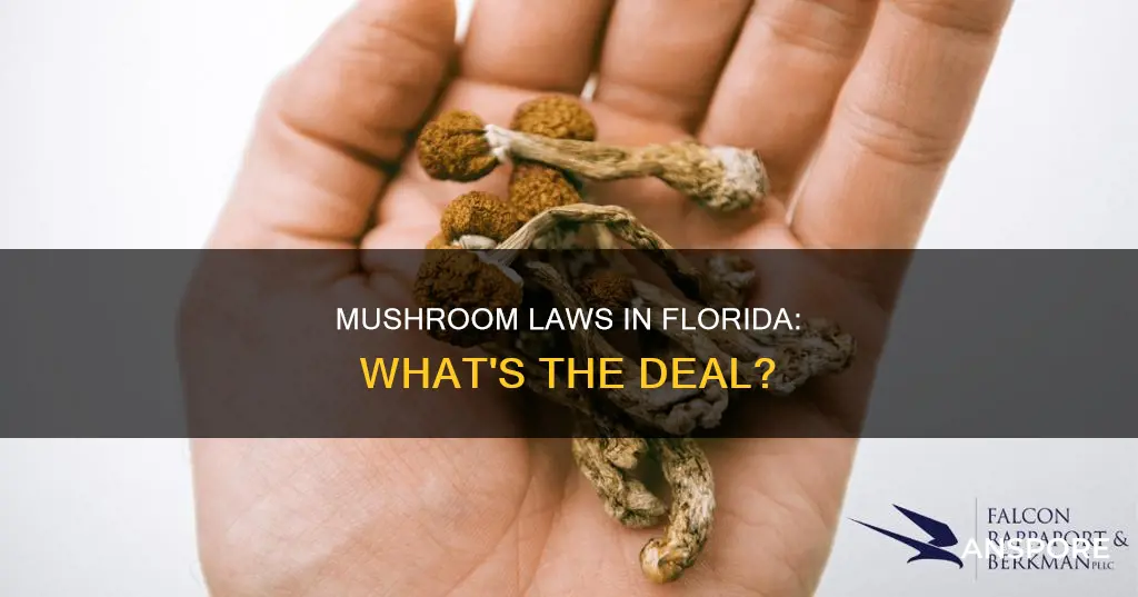 are mushrooms illegal florida