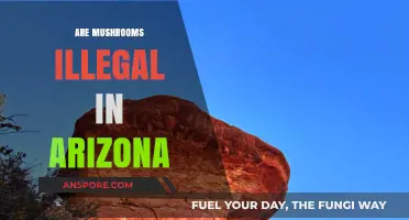 Mushroom Legality in Arizona: What's the Real Deal?