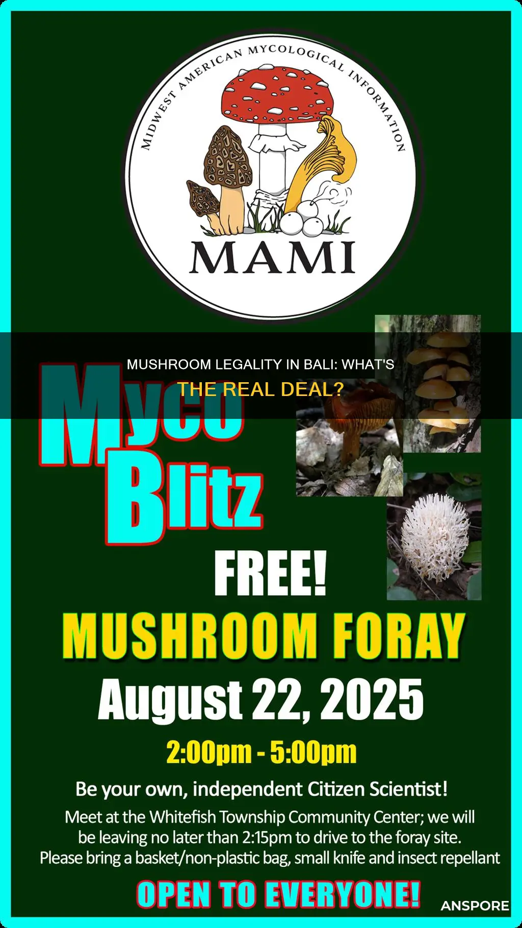 are mushrooms illegal in bali