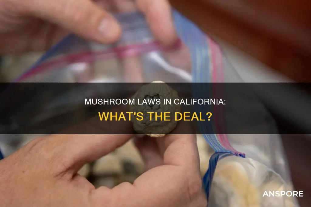 are mushrooms illegal in california