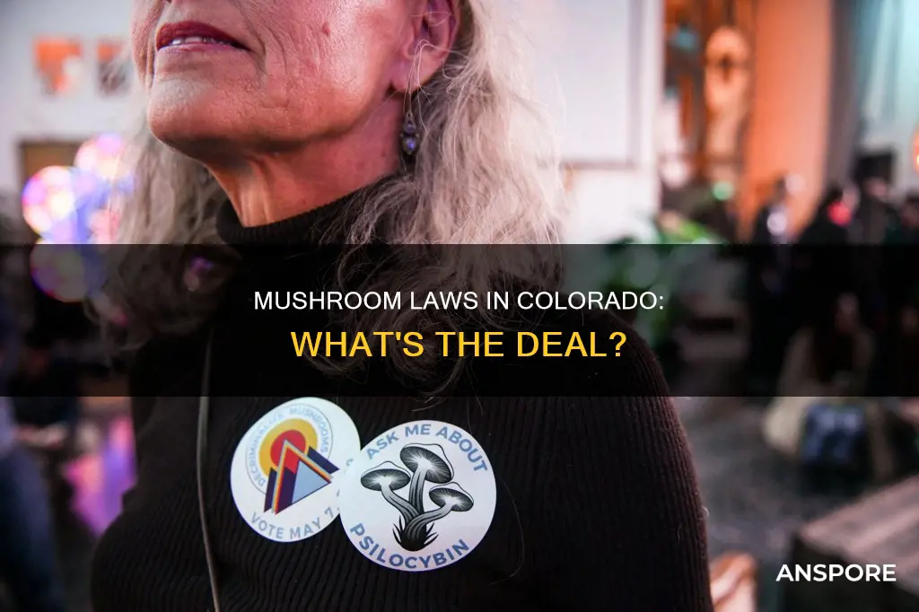 are mushrooms illegal in colorado