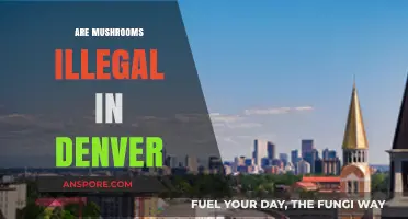 Mushroom Legality in Denver: What's the Deal?