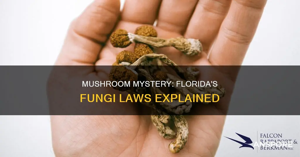 are mushrooms illegal in florida