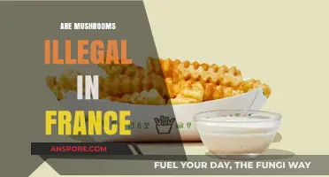 Mushroom Legality in France: What's the Deal?