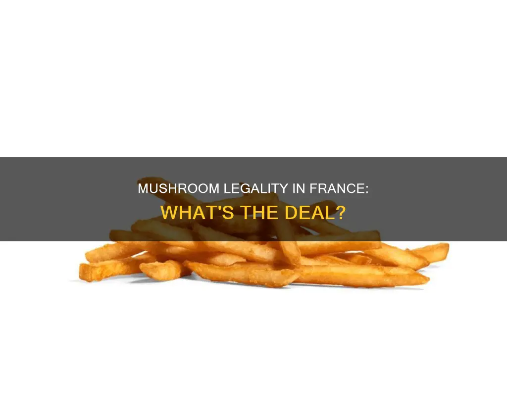 are mushrooms illegal in france