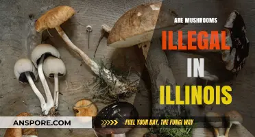 Mushroom Laws in Illinois: What's the Deal?
