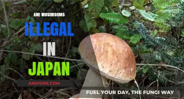 Mushroom Laws in Japan: What's the Deal?