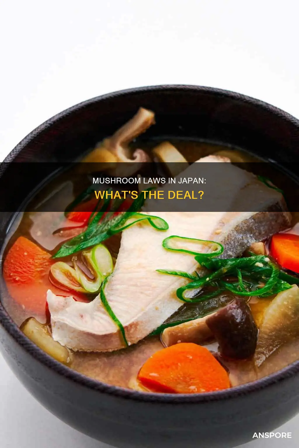 are mushrooms illegal in japan