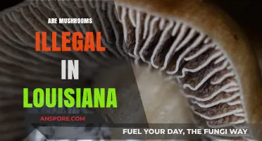 Mushroom Laws in Louisiana: What's the Deal?