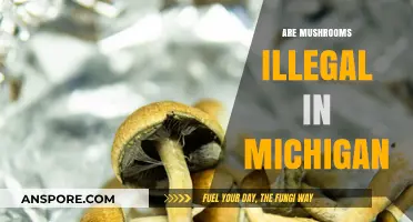 Mushroom Foraging in Michigan: What's Legal?