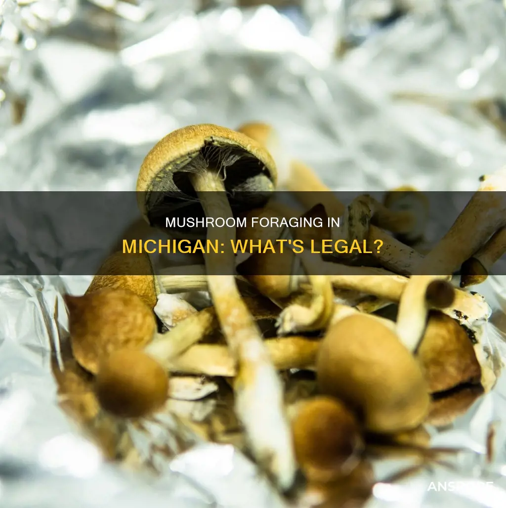 are mushrooms illegal in michigan
