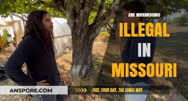 Mushroom Legality in Missouri: What's the Verdict?