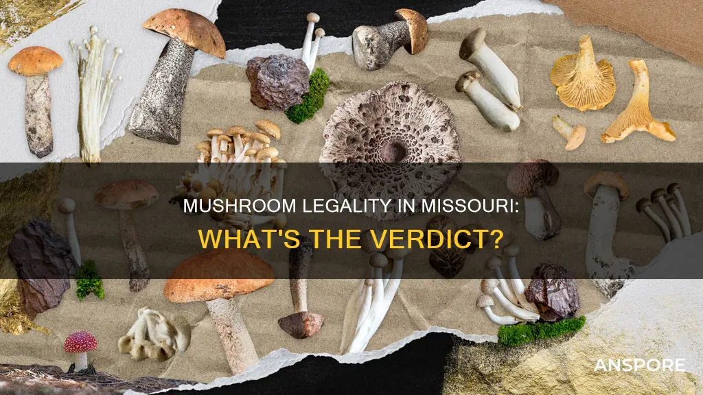 are mushrooms illegal in missouri