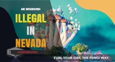 Mushroom Legality in Nevada: What's the Deal?