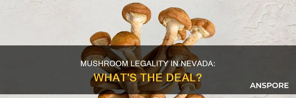are mushrooms illegal in nevada