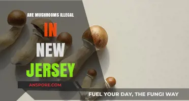 Mushroom Laws in New Jersey: What's the Deal?