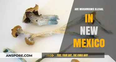 Mushroom Legality in New Mexico: What's the Verdict?