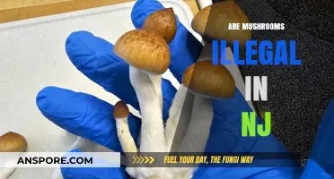 Mushroom Laws in New Jersey: What's the Deal?