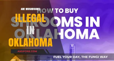 Mushroom Mystery: Are They Legal in Oklahoma?