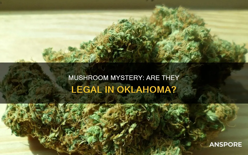 are mushrooms illegal in oklahoma