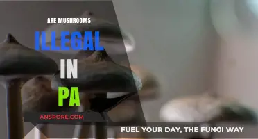 Mushroom Laws in Pennsylvania: What's the Deal?