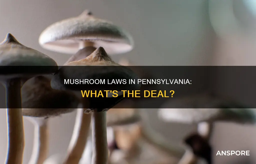 are mushrooms illegal in pa