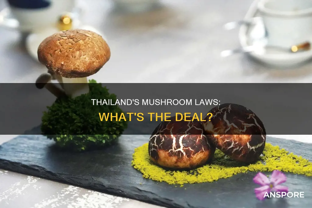 are mushrooms illegal in thailand