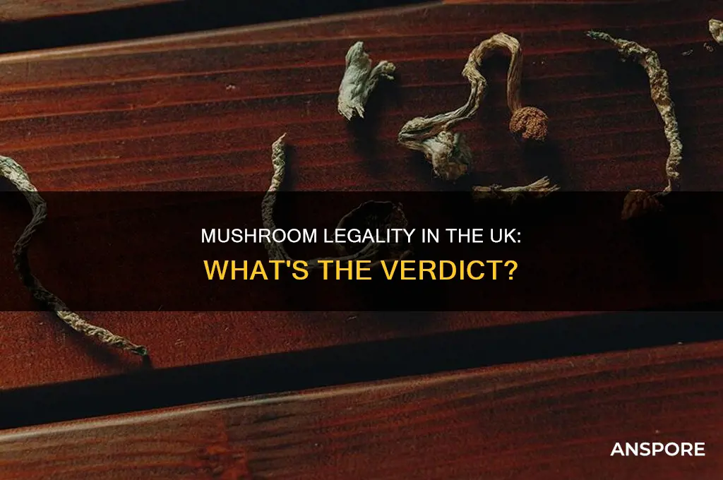 are mushrooms illegal in the uk