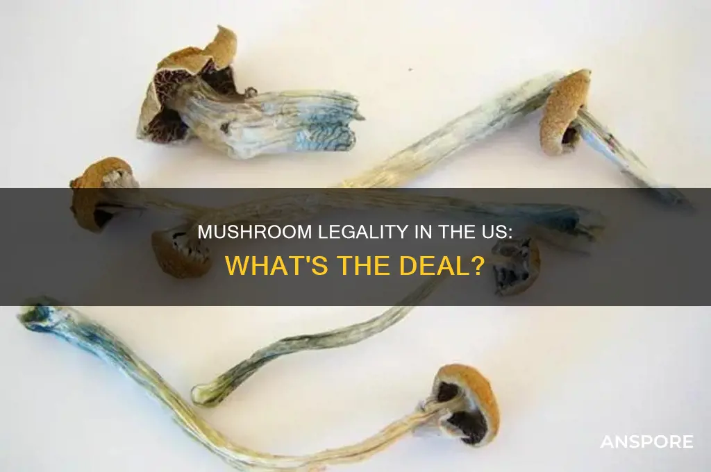 are mushrooms illegal in the united states