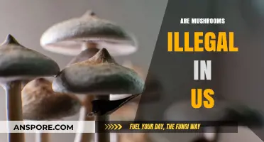 Mushroom Legality in the US: What's the Deal?