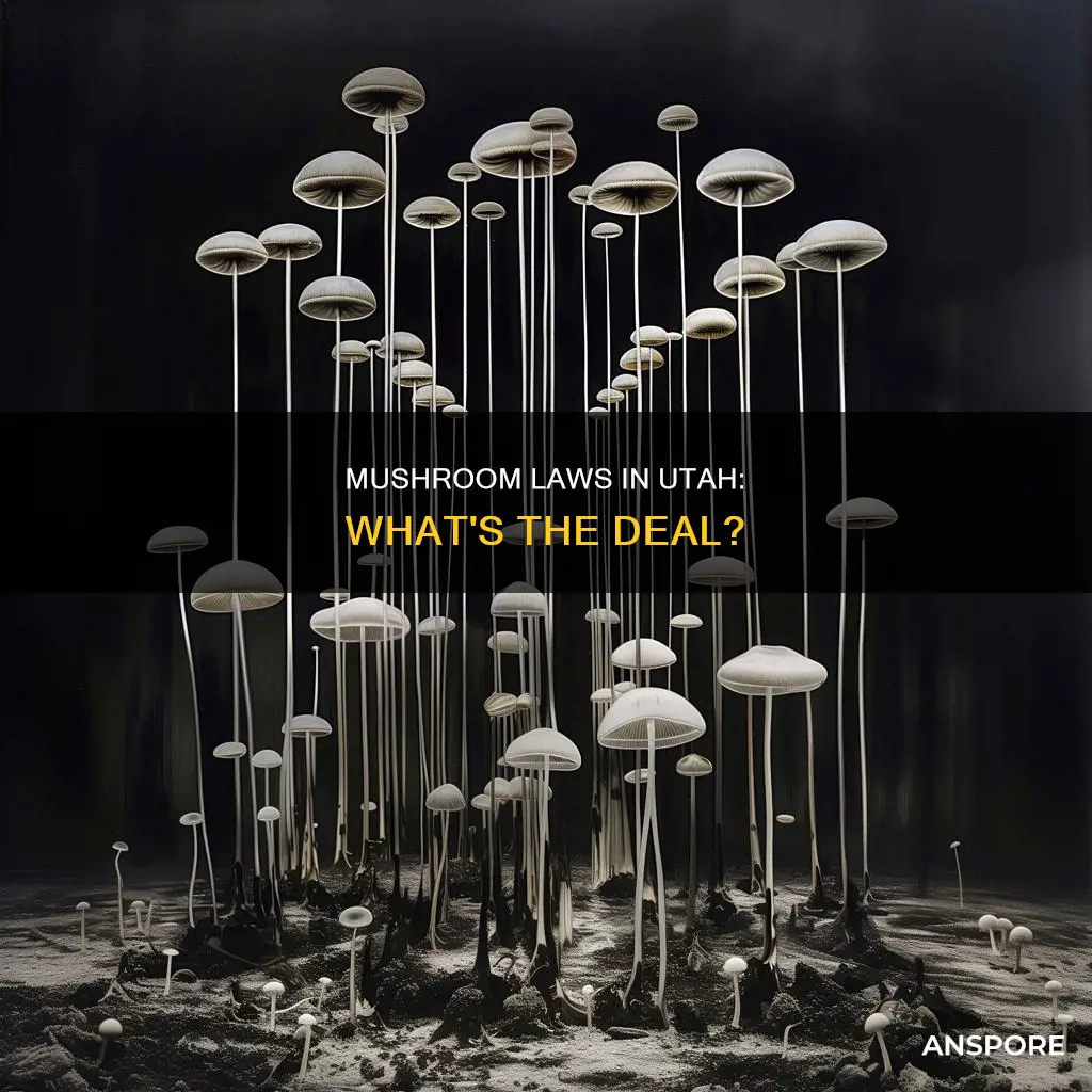 are mushrooms illegal in utah