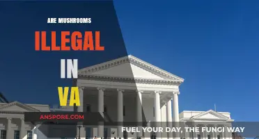 Mushroom Legality in Virginia: What's the Deal?