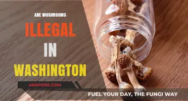 Mushroom Laws in Washington: What's the Deal?