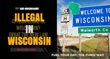 Mushroom Foraging in Wisconsin: What's Legal?