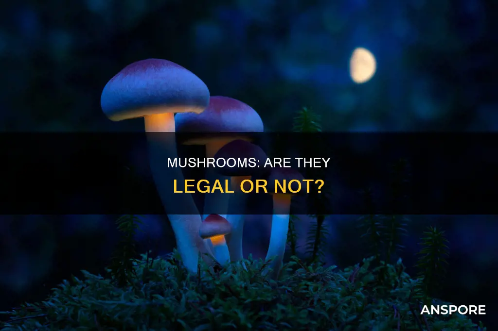 are mushrooms illigal