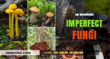 Mushrooms: The Imperfect Fungi?