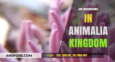Mushrooms: Members of the Animalia Kingdom?