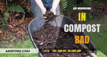 Mushrooms in Compost: Are They Harmful or Beneficial?