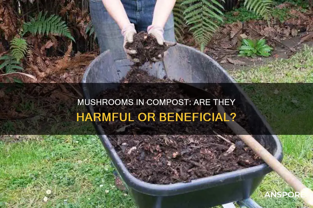 are mushrooms in compost bad