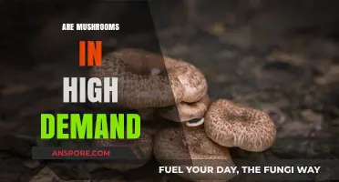 Mushrooms: High Demand, High Value?