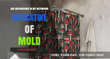 Bathroom Mushrooms: What They Mean for Your Home