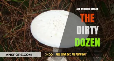 Dirty Dozen Alert: Are Mushrooms Safe to Eat?
