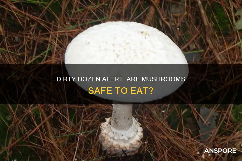 are mushrooms in the dirty dozen